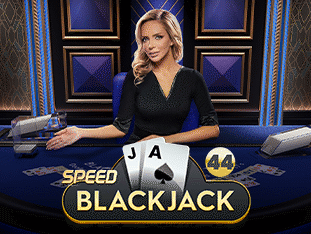 Speed Blackjack 44 screenshot